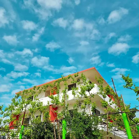 Green Villa